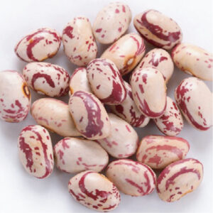 LIGHT SPECKLED KIDNEY BEANS