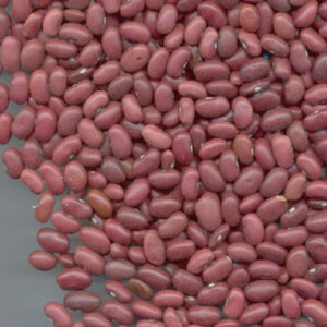 RED KIDNEY BEANS (GOJAM)